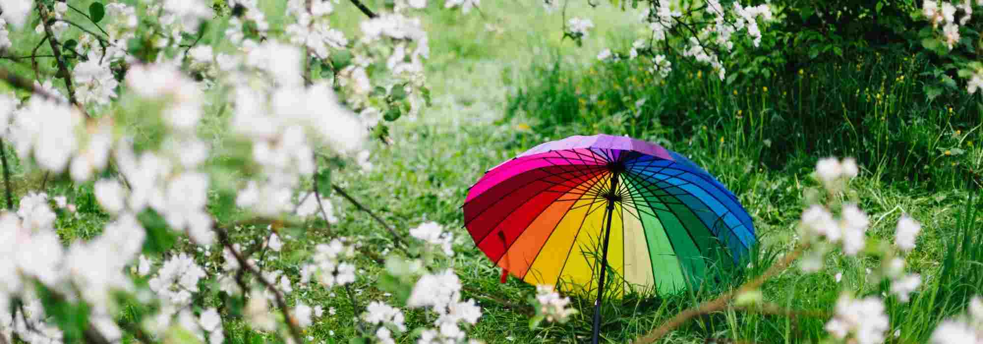 Microclimas en el jardín