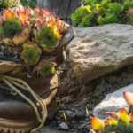 Idea deco: plantas en recipientes insólitos