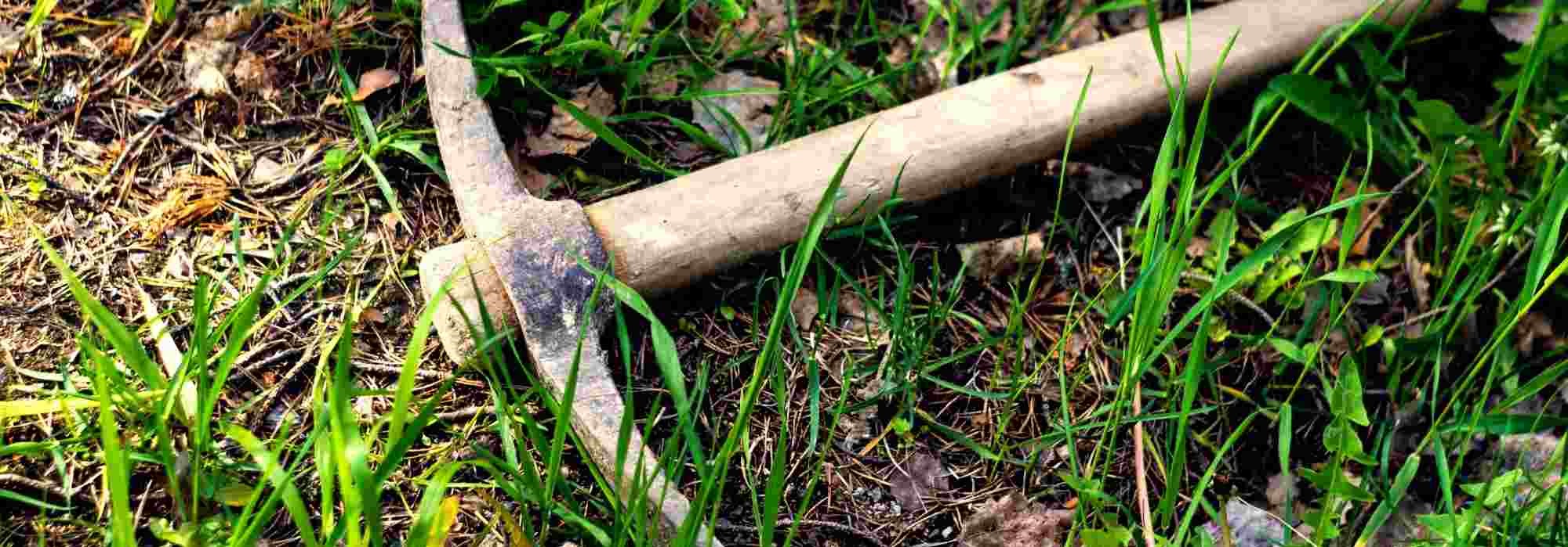 ¿Para qué sirve un pico?