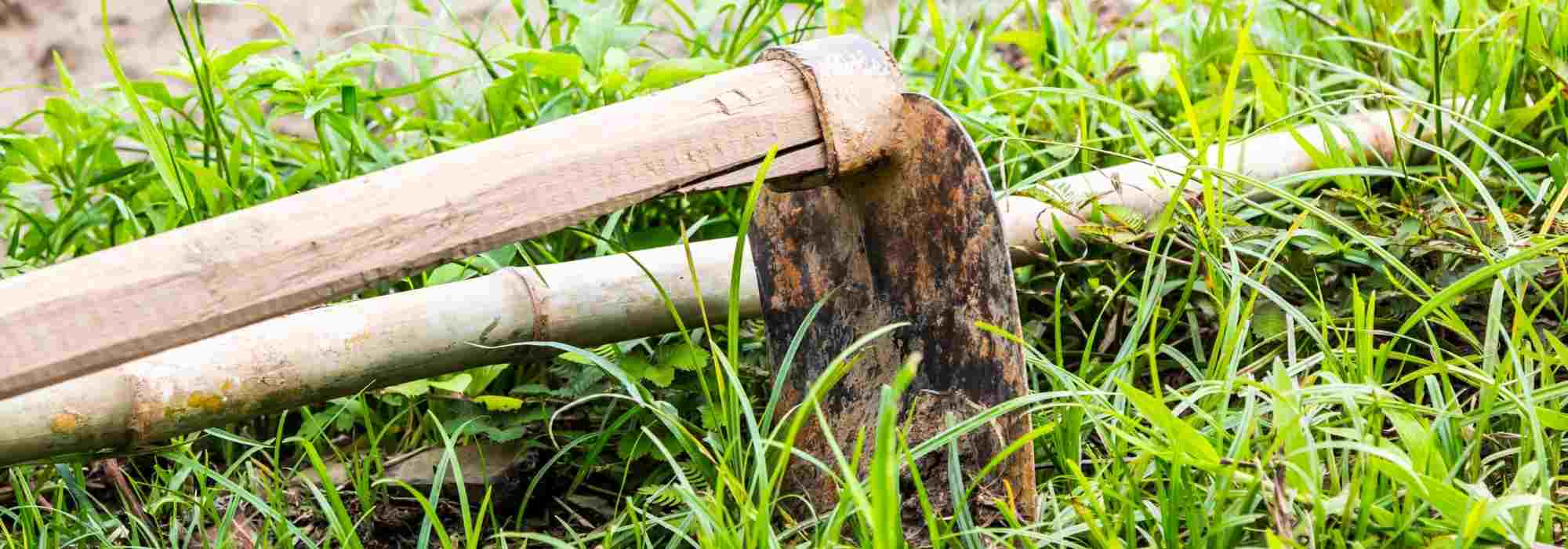 ¿Para qué sirve una azada colineal?