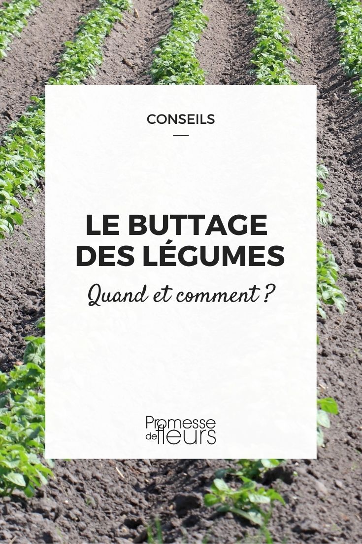 mantequillar las verduras del huerto