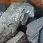 Carbón vegetal en el jardín