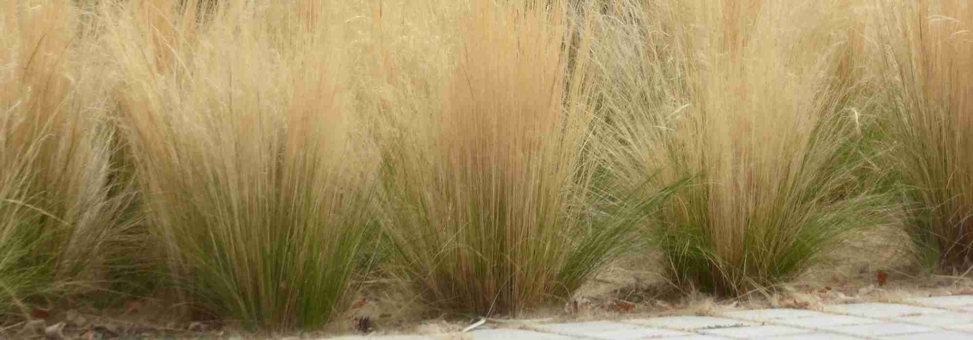 7 ideas para combinar las Stipas