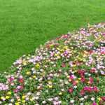 ¿Para qué sirve un cortabordes?