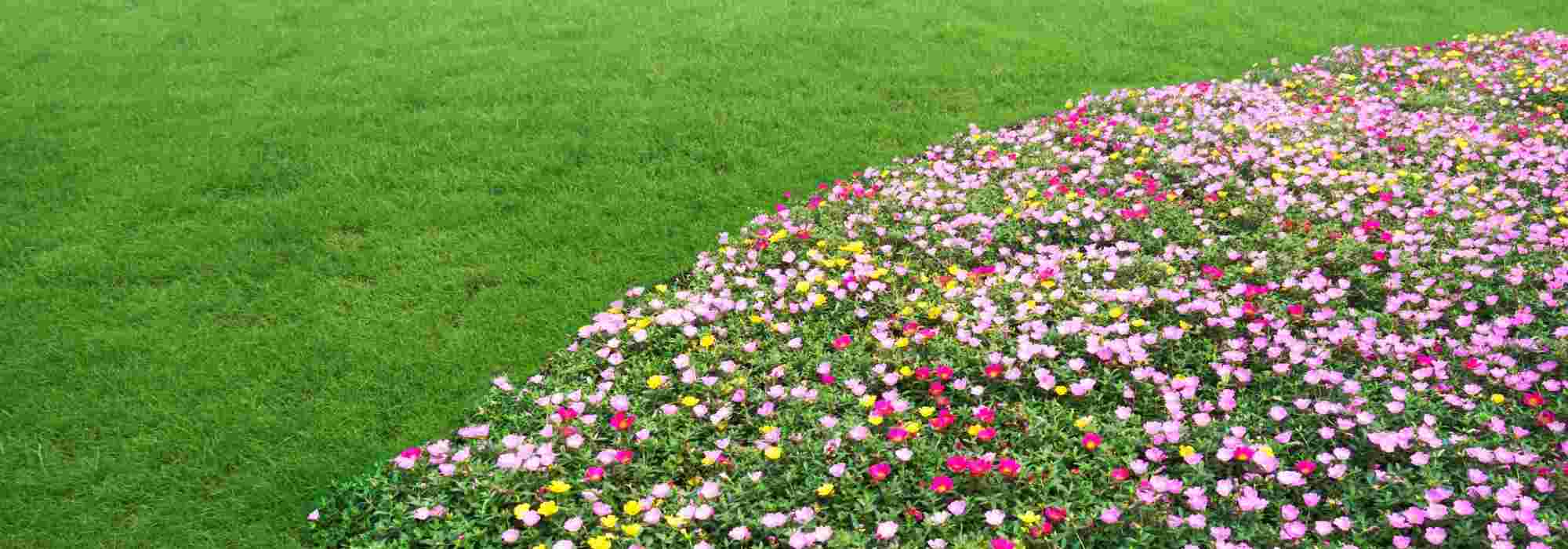 ¿Para qué sirve un cortabordes?