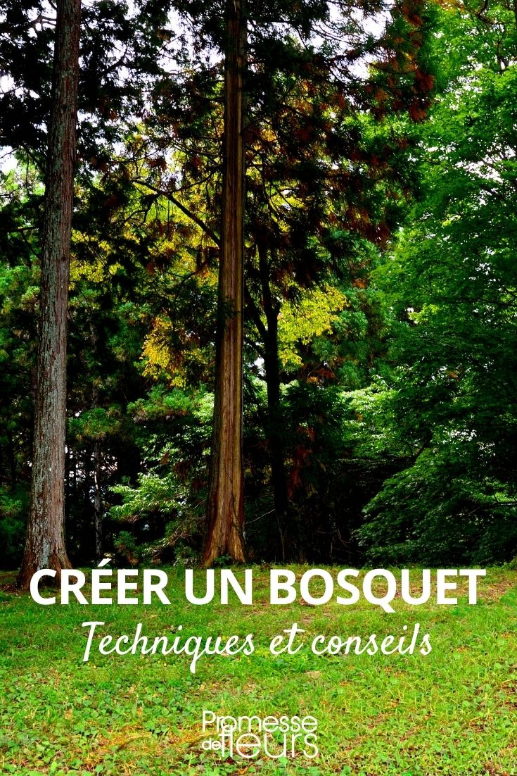 crear un bosquecillo