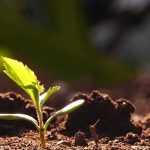 ¿Qué es la estratificación?