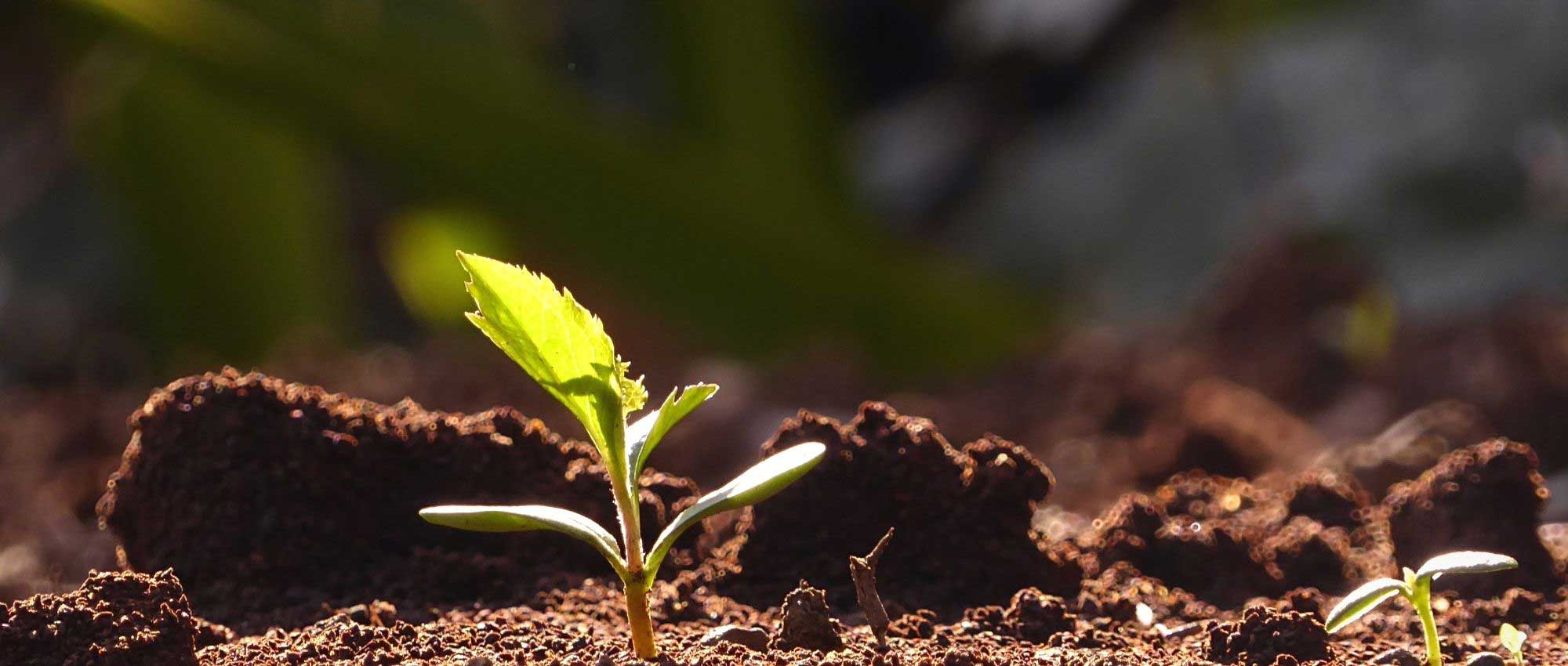 ¿Qué es la estratificación?