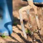 ¿Cómo cavar un terreno demasiado duro?