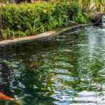 Instalar una charca prefabricada