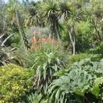 Jardín exótico: todos nuestros consejos para diseñarlo