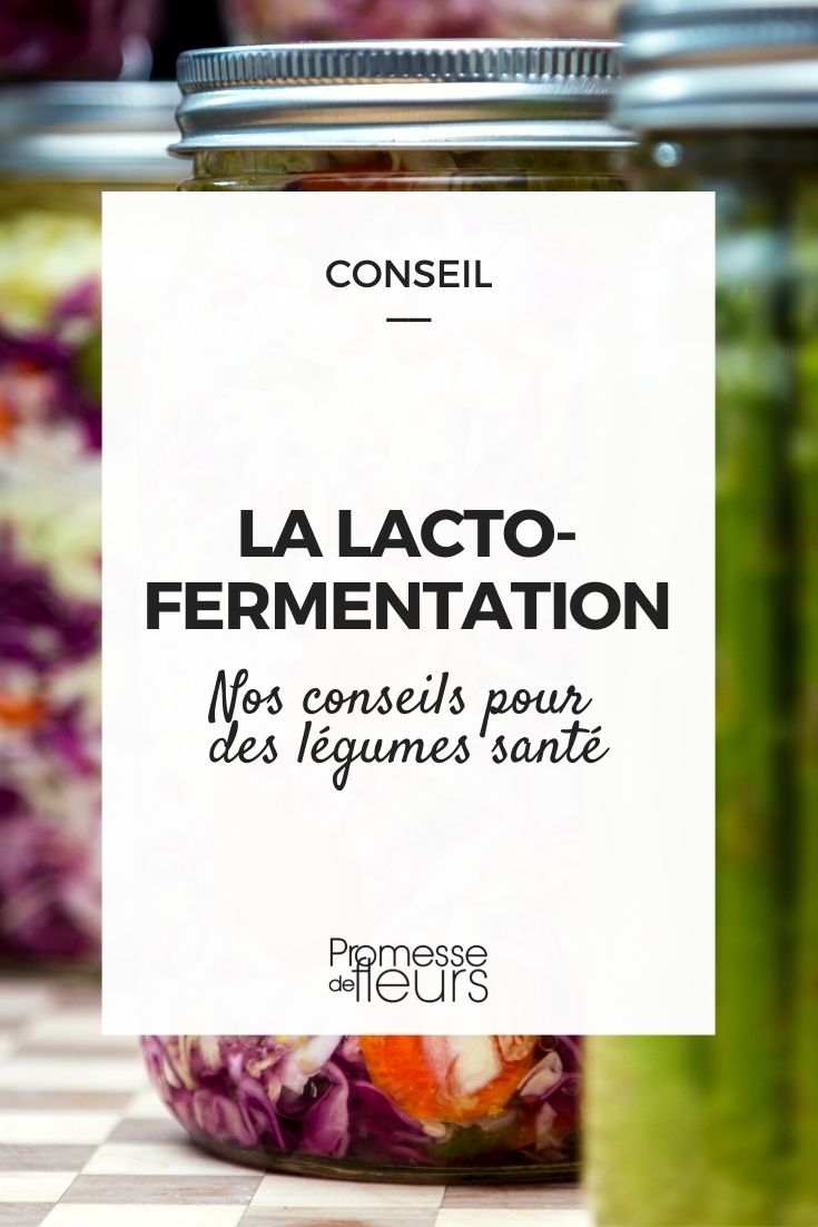 La lactofermentación de las verduras del huerto