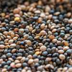 ¿Y si te animas a cultivar lentejas?