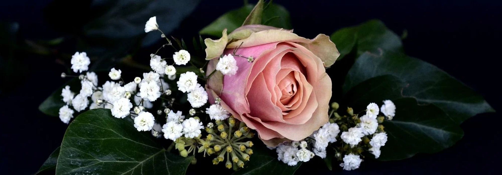 Plantas de los perfumistas