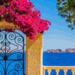 6 trepadoras a orillas del mar