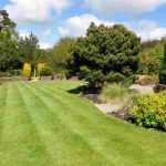 Acondicionar un jardín en llano