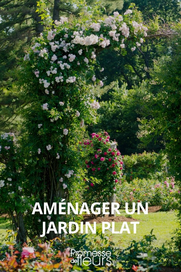 amueblar un jardín plano