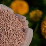 NPK: definición y usos