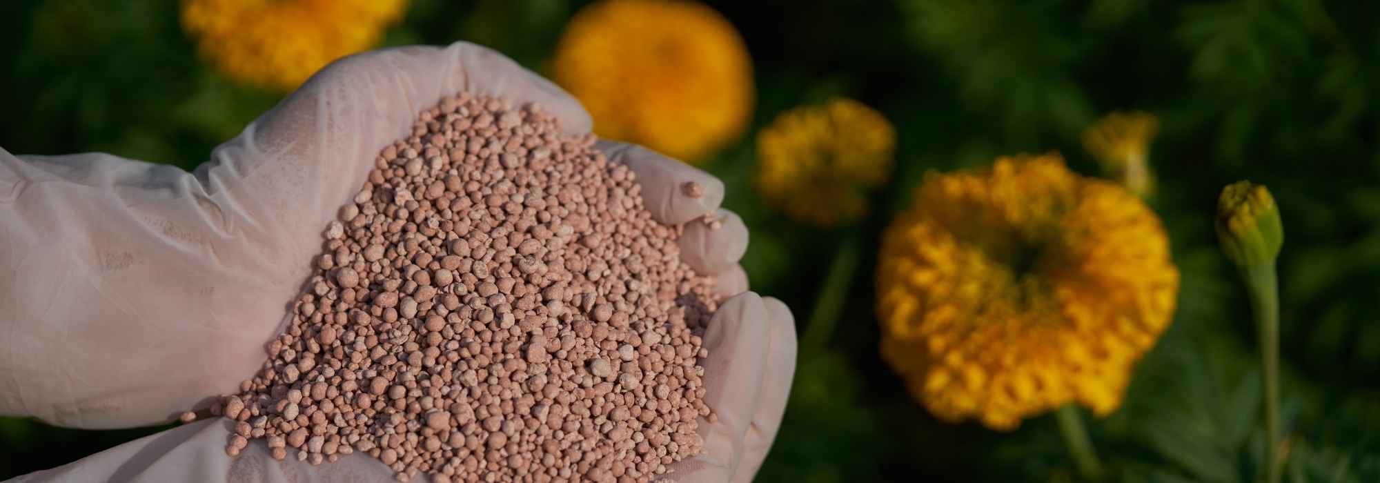 NPK: definición y usos