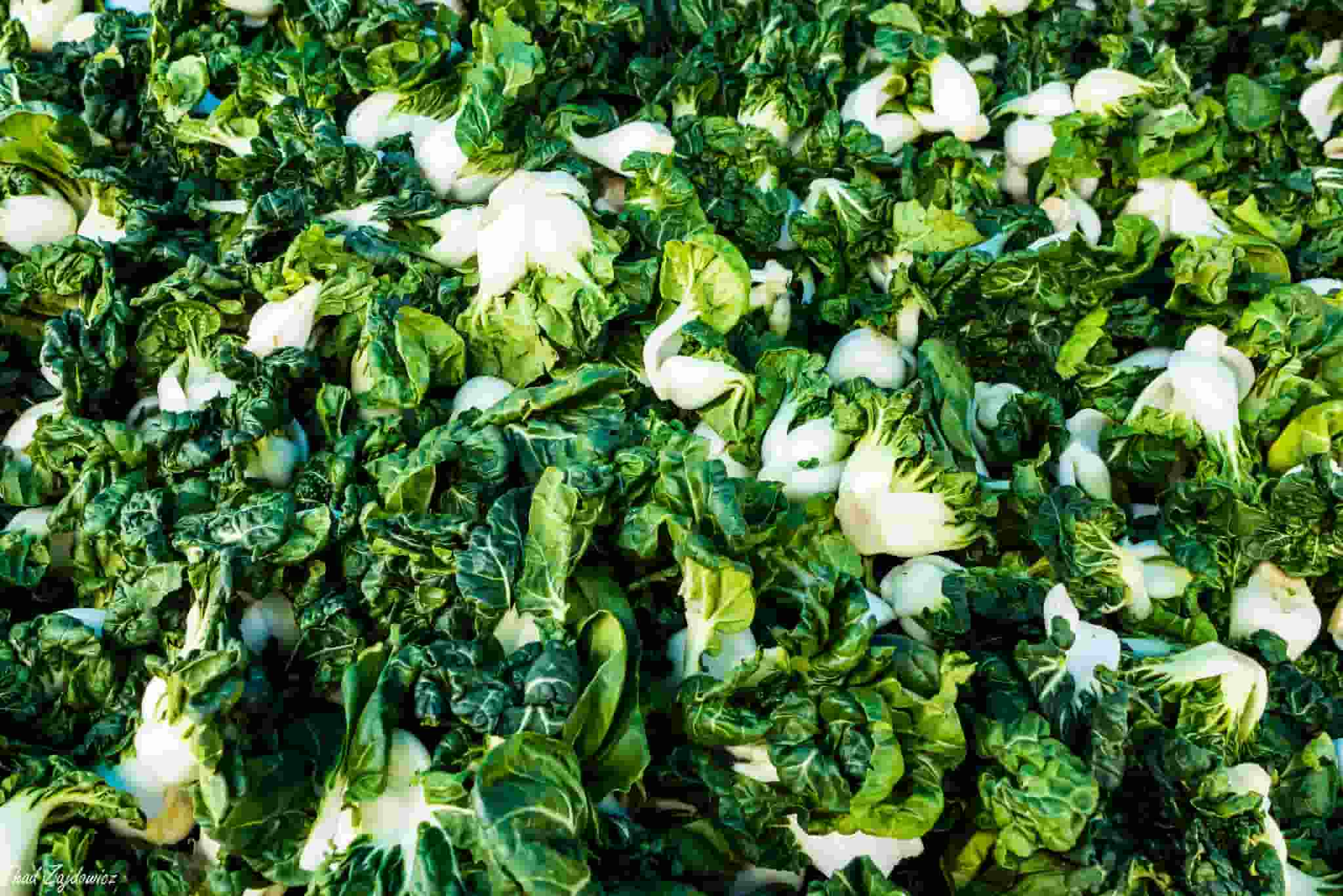 6 coles chinas para descubrir