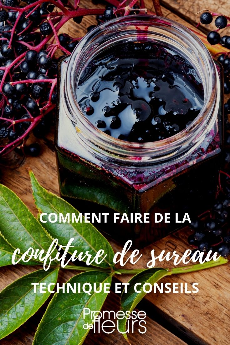 receta: mermelada de saúco
