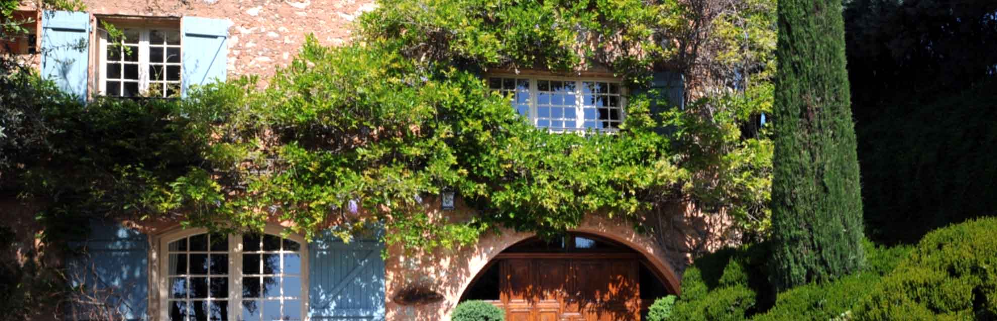 7 trepadoras resistentes a la sequía