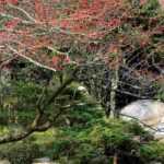 Diseñar un jardín de 4 estaciones