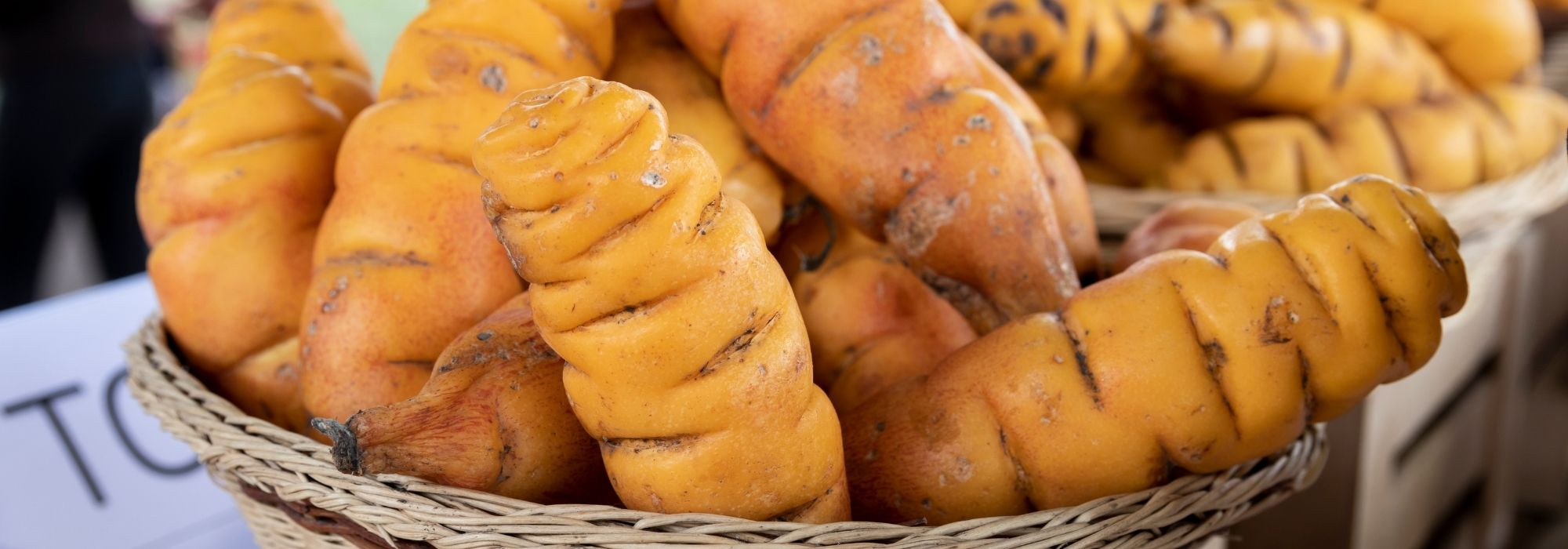 Oca del Perú: cultivo, plantación, cosecha