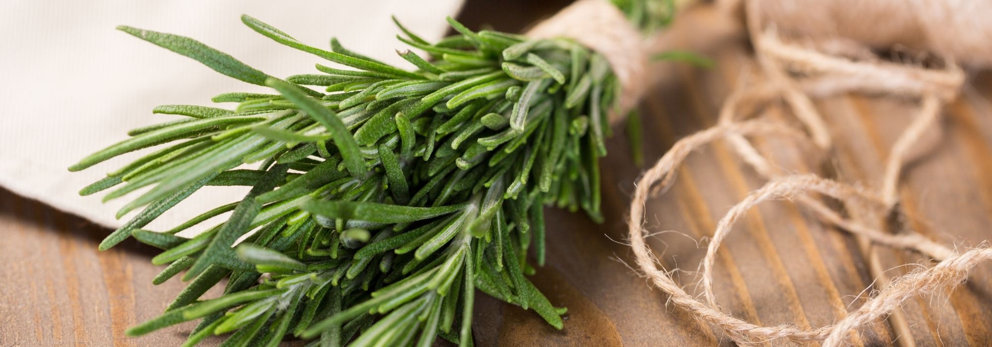 Romero: cómo conservarlo y utilizarlo