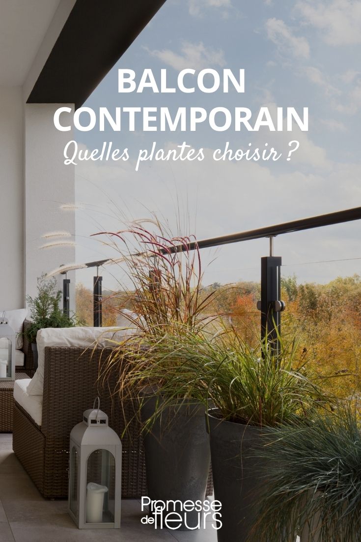 balcón contemporáneo: ¿qué plantas elegir?