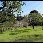 Árboles frutales sensibles a las heladas