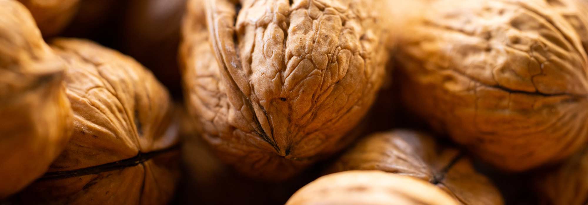 Cosechar y conservar las nueces