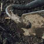 ¿Para qué sirve un escardillo o una azadilla?