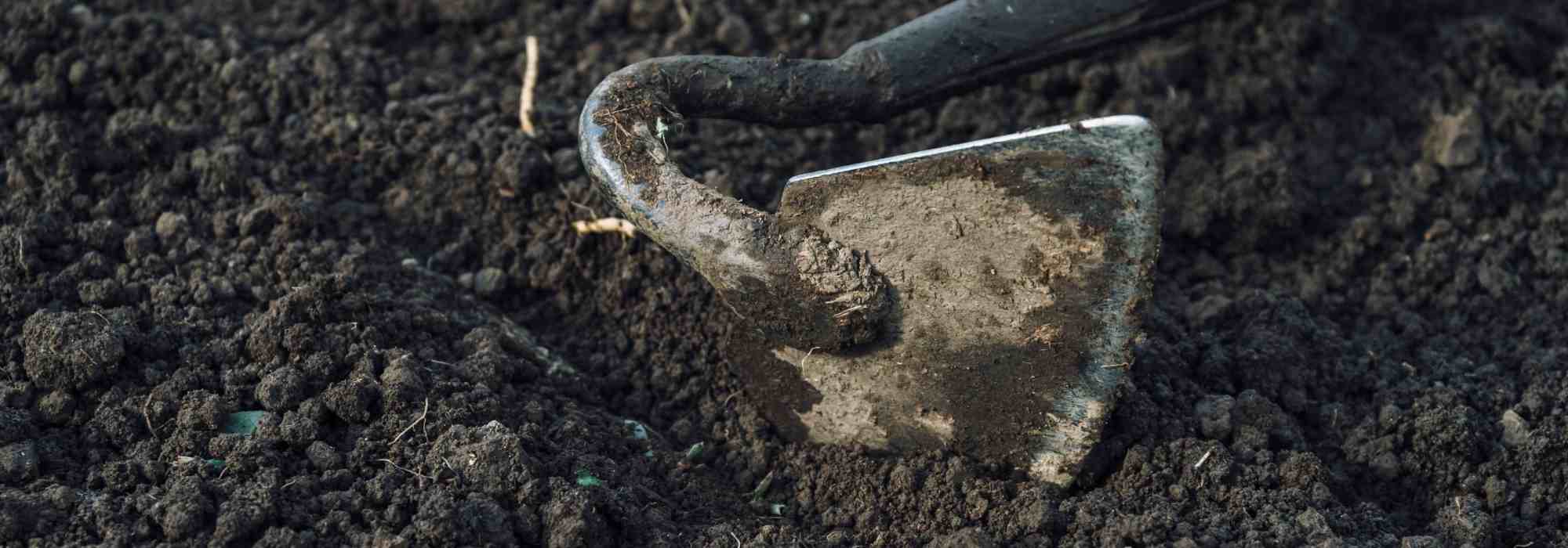 ¿Para qué sirve un escardillo o una azadilla?