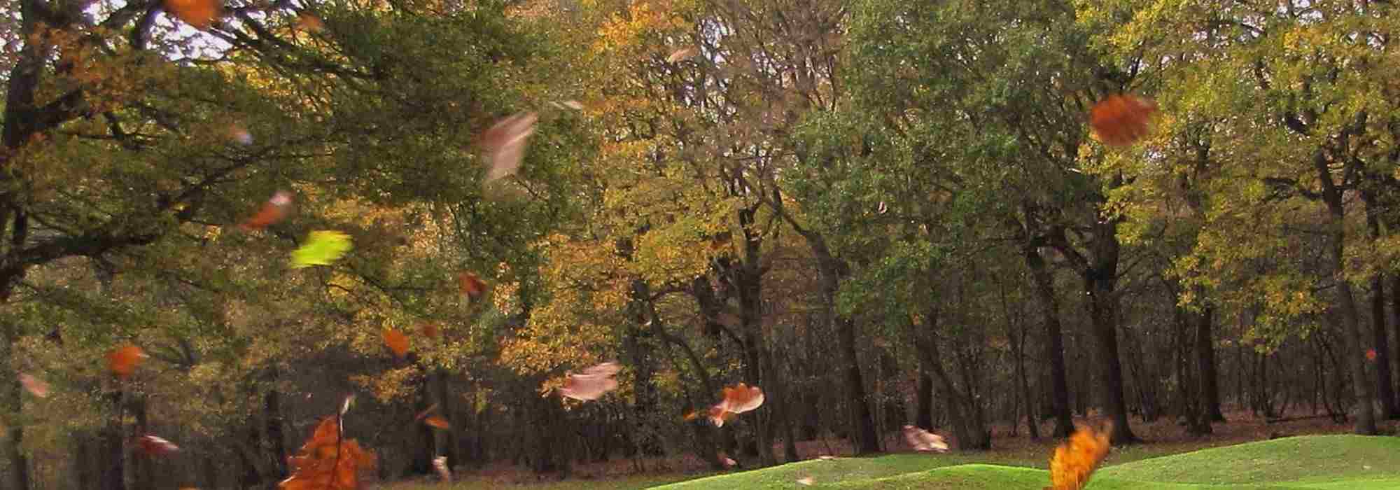 Proteger un jardín muy expuesto al viento