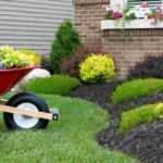 ¿Para qué sirve una barra antirraíces?