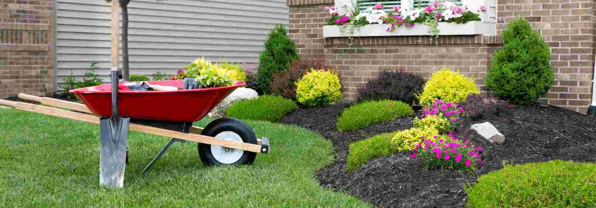 ¿Para qué sirve una barra antirraíces?