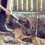 ¿Cómo echar a perder la plantación de tus árboles en 5 lecciones?