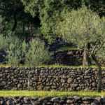 Diseñar un jardín en restanques