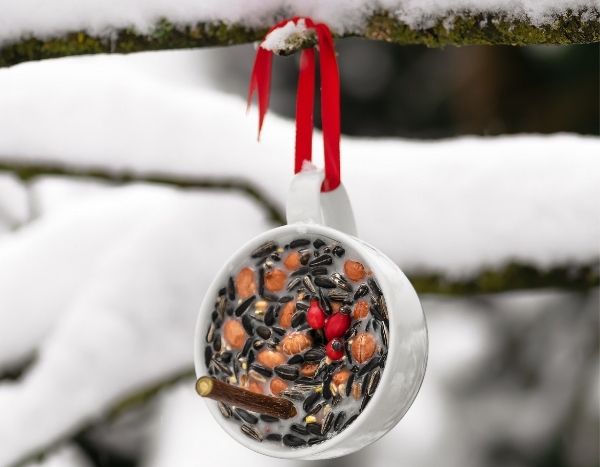 Hacer una suspensión de semillas para los pájaros en invierno