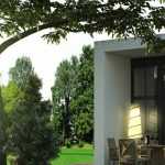 8 árboles de porte aparasolado