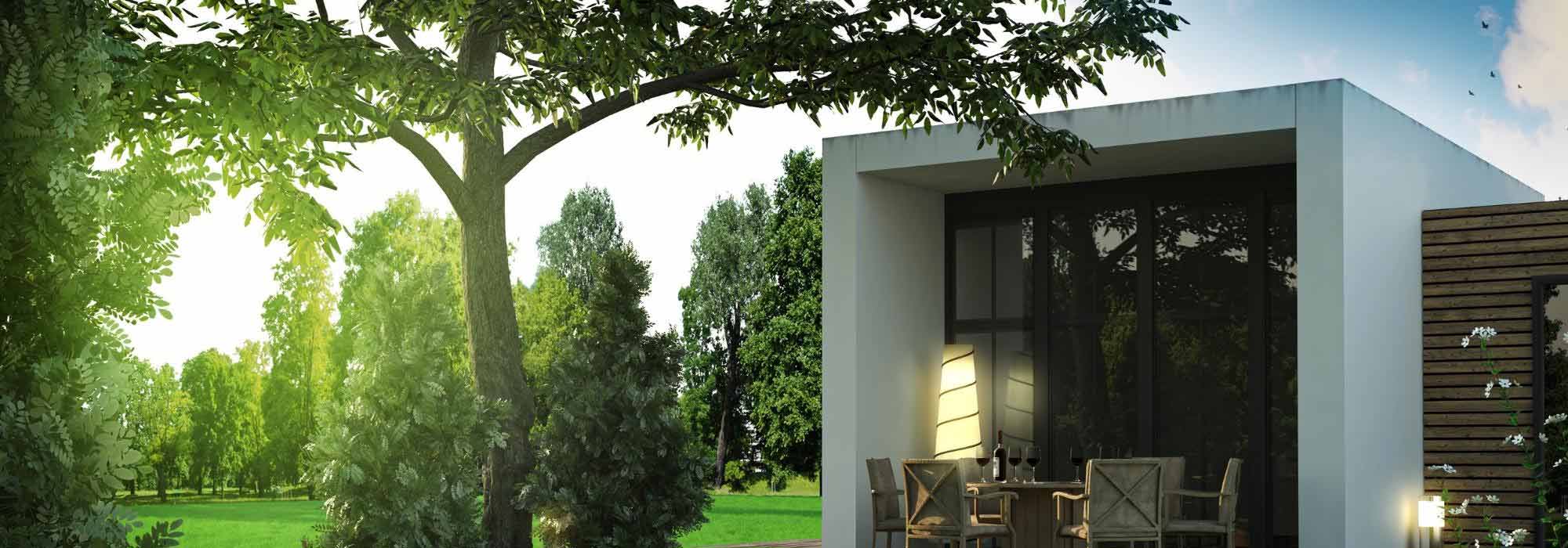 8 árboles de porte aparasolado