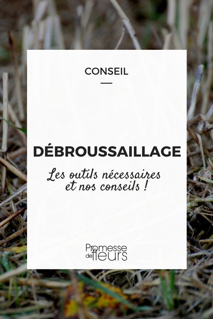 Desbroce