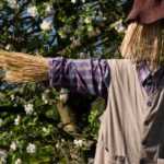 Diseñar un jardín campestre