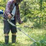 ¿Qué herramientas utilizar para desbrozar?