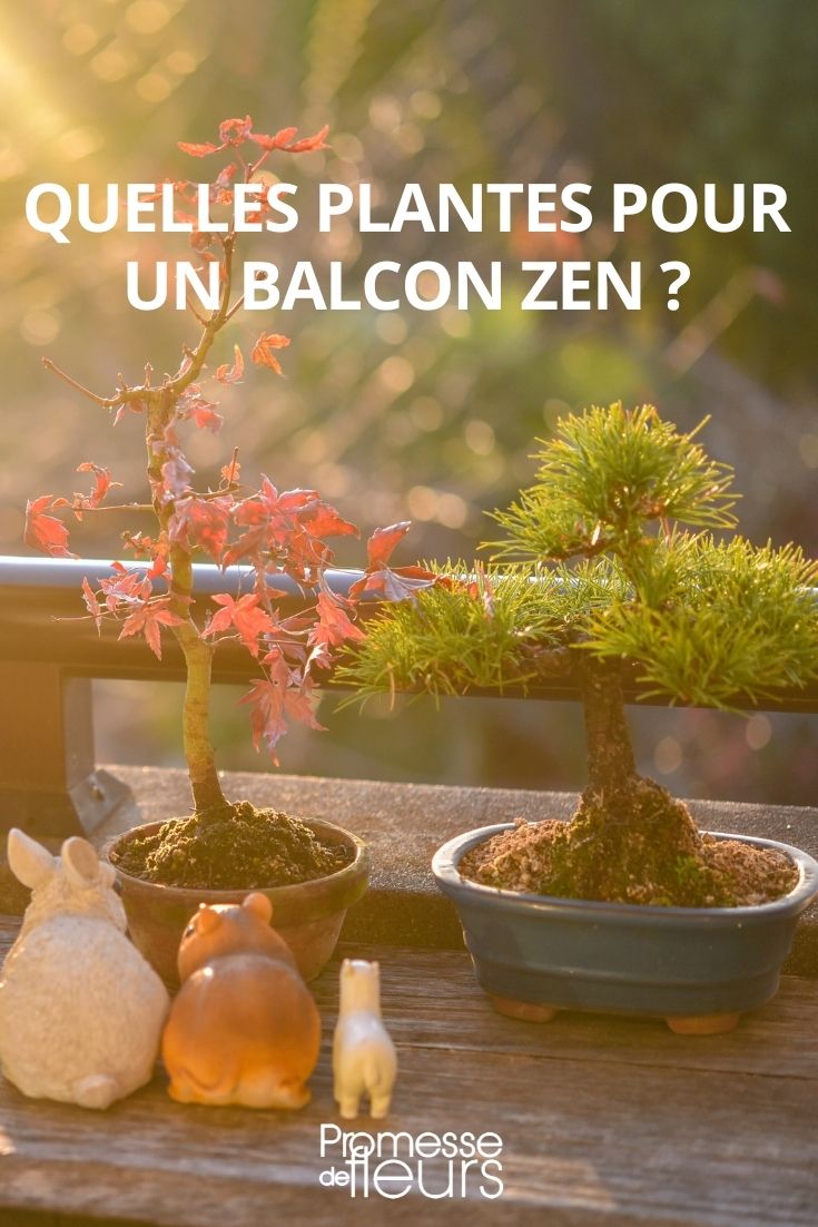 ¿Qué plantas para un balcón zen?