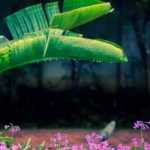 Asociar la platanera