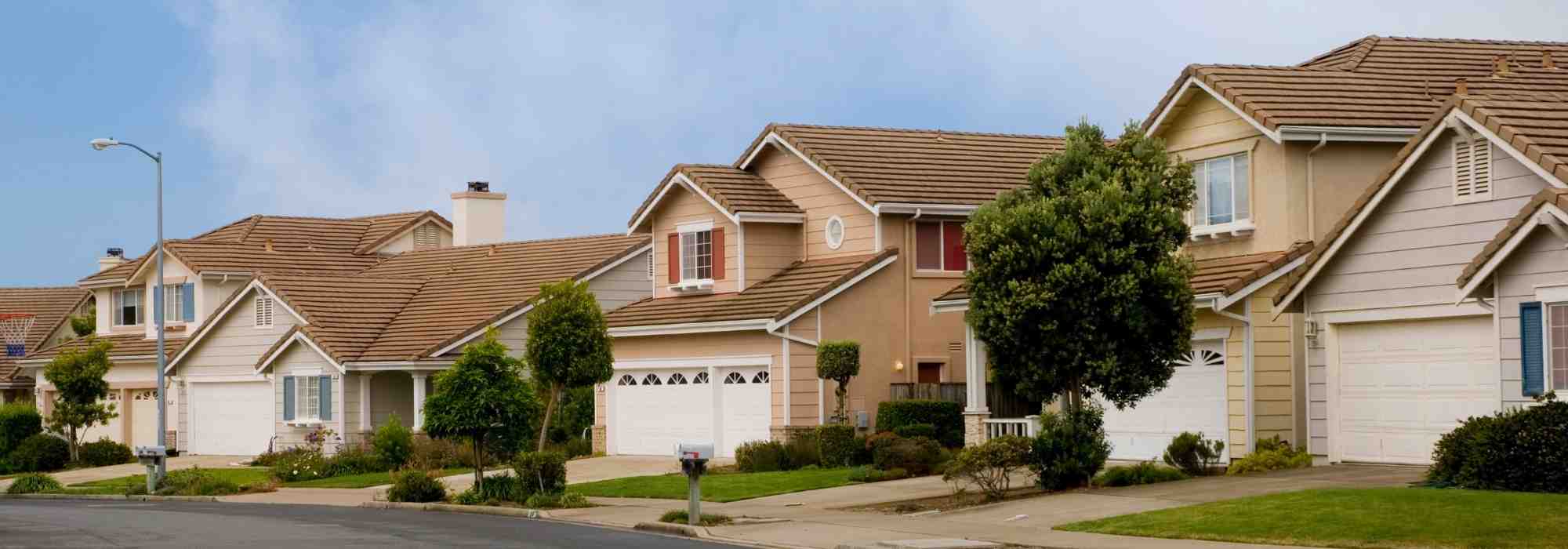 7 arbustos para jardines de urbanización