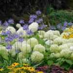 Combinar flores blancas