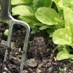 ¿Para qué sirve una horca o una horca excavadora?